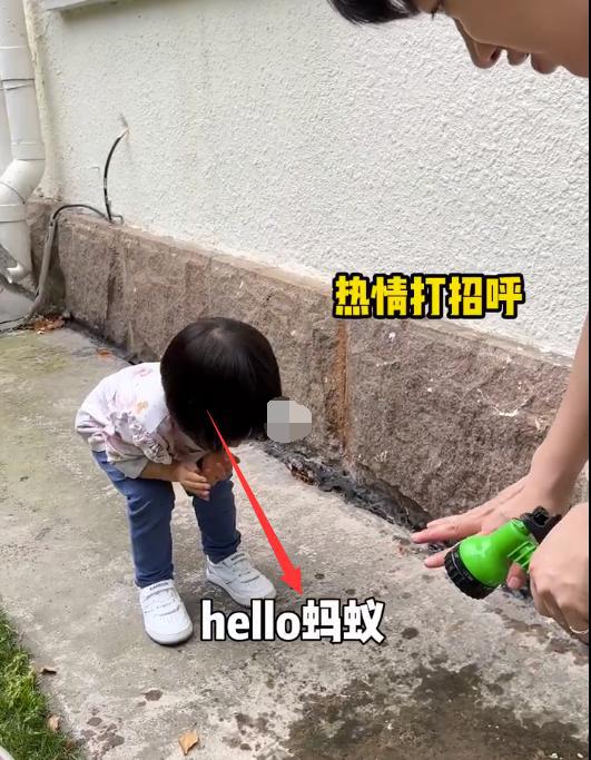 王祖蓝一家四口院子种菜！女儿抬框浇水熟练