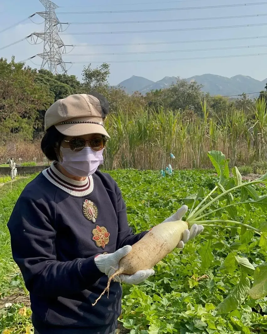 汪明荃送出今年第一糕给这位男星！往年众星抢着要，阿姐却收山