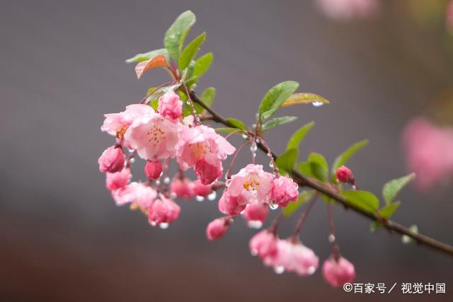 如果有一天，老伴先走了，请趁早做好以下事