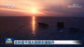 吉林查干湖冬捕预计2023年2月份捕捞量1500吨