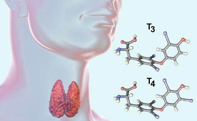警惕！这些饮食习惯可能让你的甲状腺健康受到影响