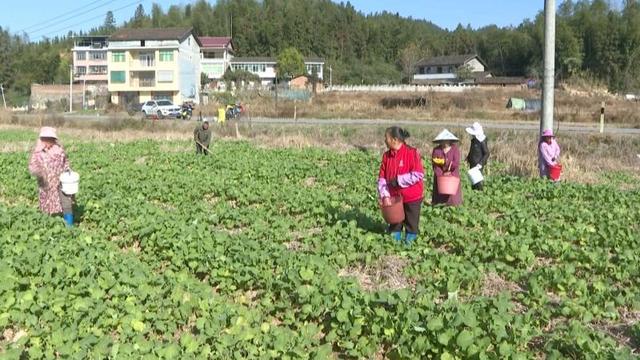 江西黎川：全力保障冬季用电安全