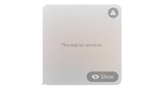苹果ios17系统增加新功能可自动识别和屏蔽
