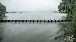 西湖九大出水口全开泄洪！封闭中的集贤亭，被它们“占领”了