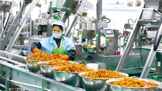 重庆市梁平区：打造具有国际竞争力的预制菜产业基地