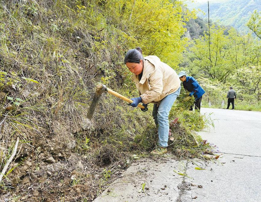 略阳乐素河镇绿化美化村组道路