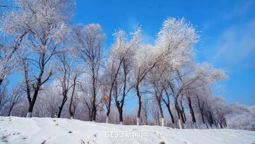 哈市发布霾黄色预警丨货车限行措施启动，冰城近日天气静稳有雾霾