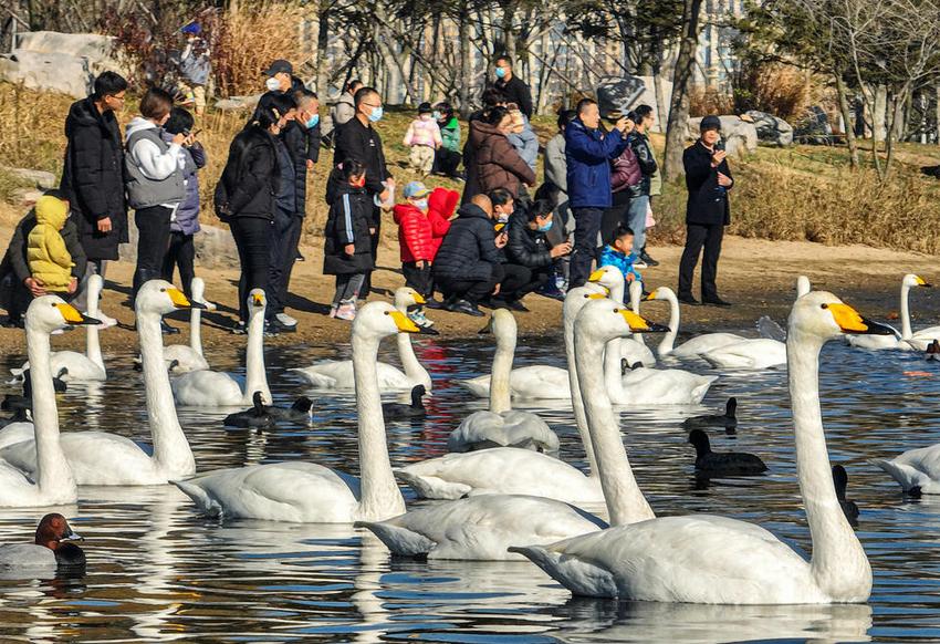 荣成：多彩公园扮靓精致城市