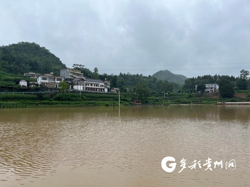 播州区三合镇：遭遇特大暴雨袭击 党员干部“汛”速行动