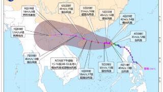 速看！海口三港滚装船舶运输最新提示→