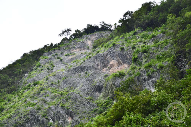 节日坚守 | 搜山扫石除险清患