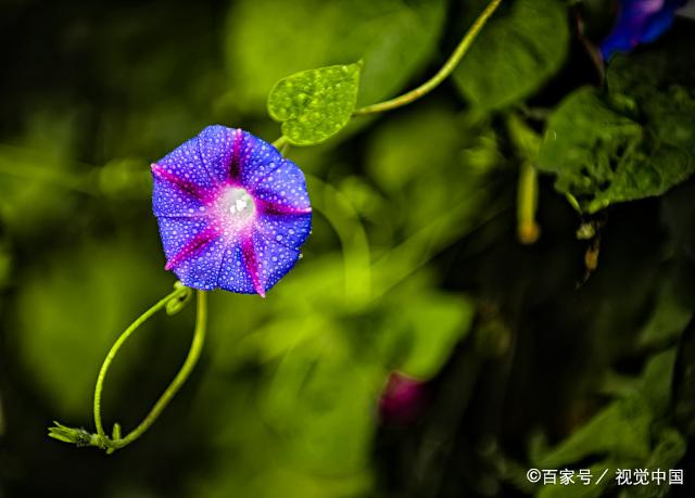 人老了，拥有一个好心态，晚年更幸福