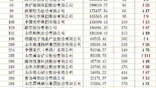 万华和南山铝业入围2023年《财富》中国上市公司500强名单