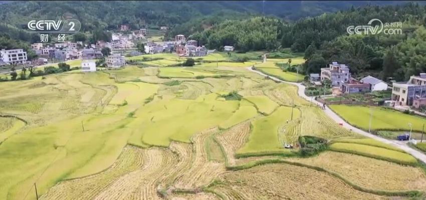 机械化作业收获好“丰”景 江西各地多措并举保障颗粒归仓