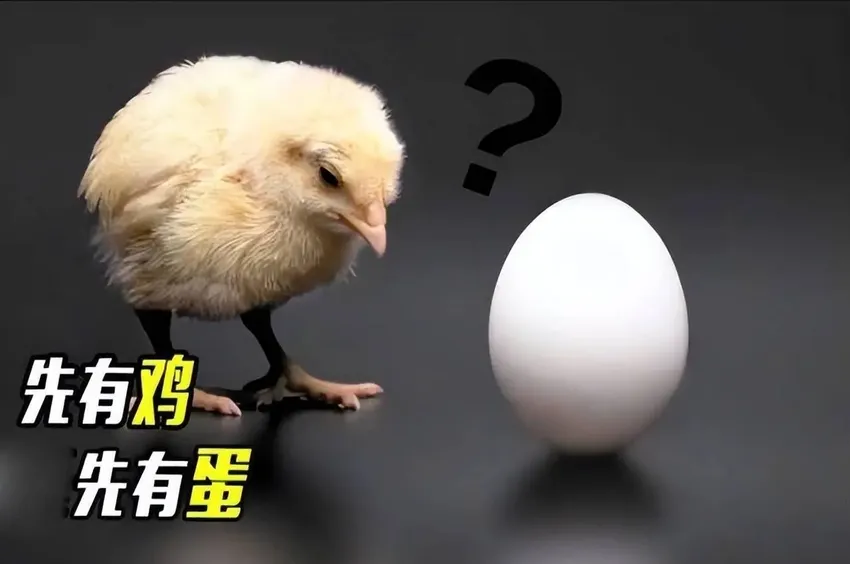 地球究竟是先有鸡还是先有蛋？科学家揭开真相