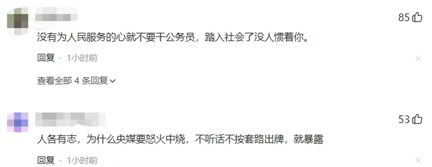 确认！武大女选调生已离职，武汉大学受牵连，野妇论老师也逃不了