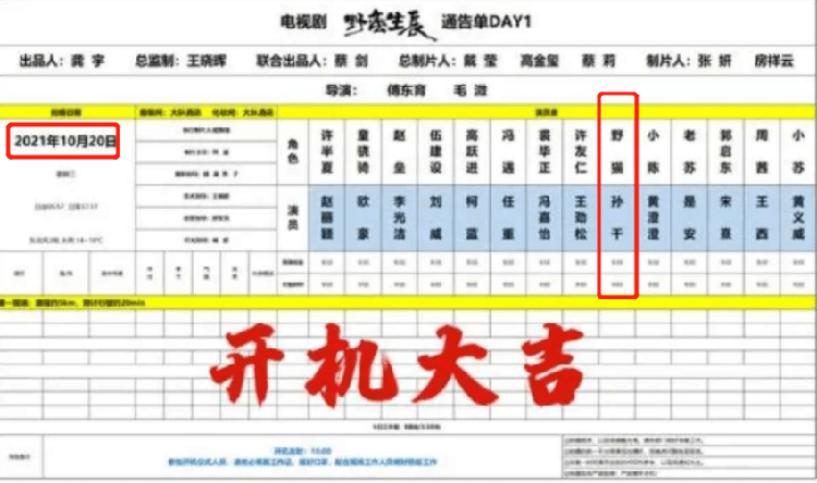 《风吹半夏》换角的孙千，出道六年的她被套上了“东北全智贤”