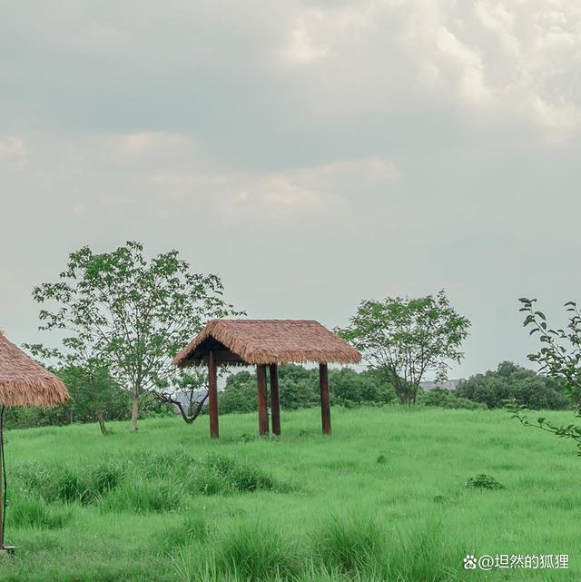 人生过半，别把自己搞得那么累，活好自己的余生