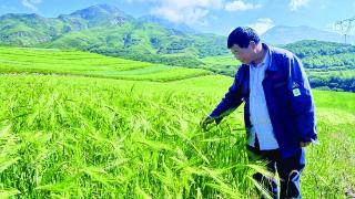 “产业路”打通群众致富路