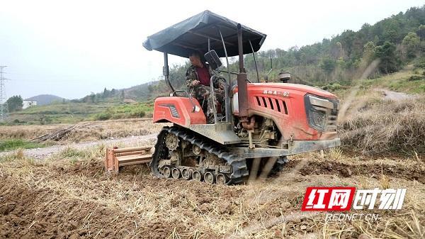 新田：秋高气爽农事忙 秋收播种正当时