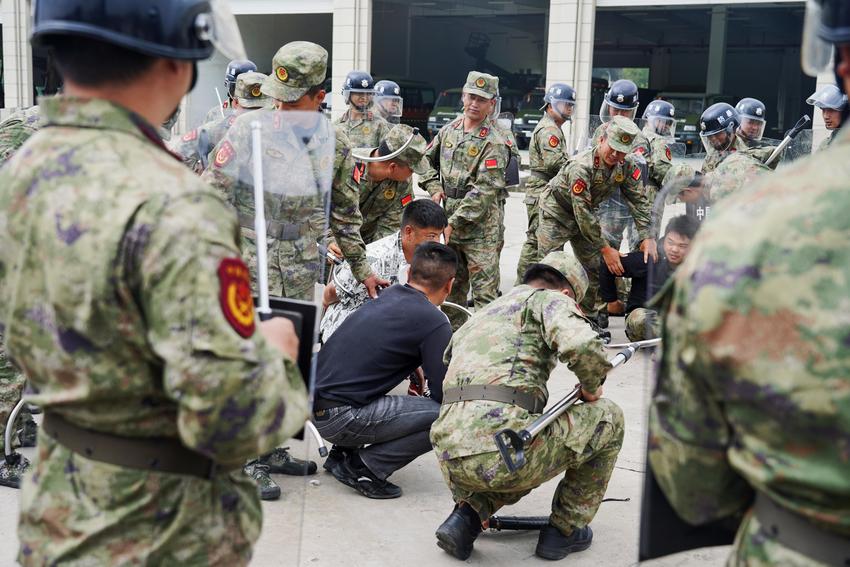 强基础 提技能 振作风——白云民兵集训展风采