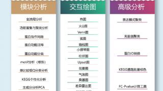 景杰生物云平台升级：引领蛋白质组学分析新纪元