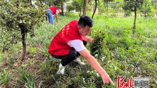 晋州市退役军人事务局开展中国人民抗日战争胜利纪念日主题活动