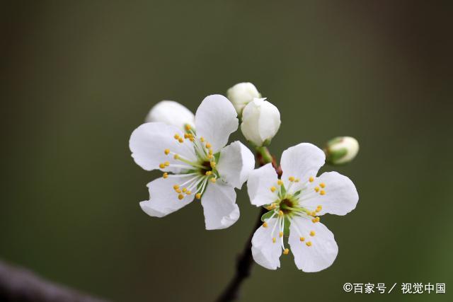 人到中年，下面这三种亲戚，只会给你带来麻烦，就不要来往了