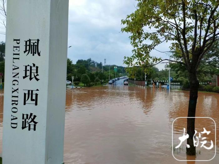 强降雨持续，黄山市屯溪区属小学幼儿园暂停课半天