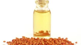 红花籽油中的哪种物质具有抗氧化的效果呢？