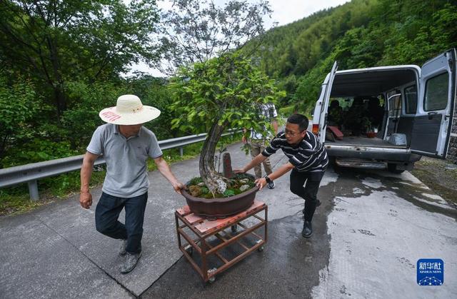 浙江诸暨：“乡村ceo培育计划”助力乡村振兴