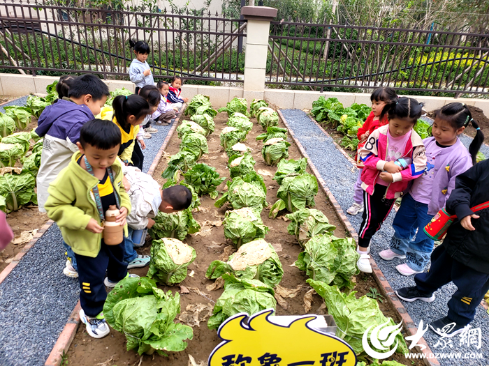 东营区第二实验幼儿园邹城路分园开展“悦享自然 ‘幼’见秋天”秋游远足活动