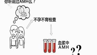 抗缪勒管激素（AMH）有哪些临床意义？