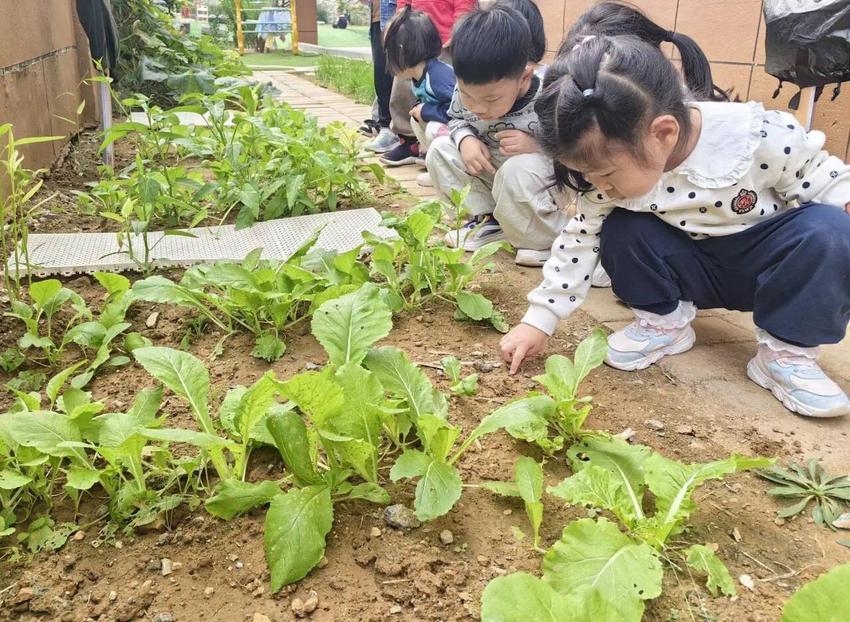 “粮”香润幼意 “爱”念惜餐情——历下三幼嵘汇园开展世界粮食日主题活动