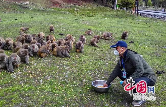 达古冰川景区“五一”假期旅游接待圆满收官！