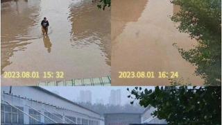 涿州图书仓库被淹后，读者涌入网店“野性消费”！书企提醒