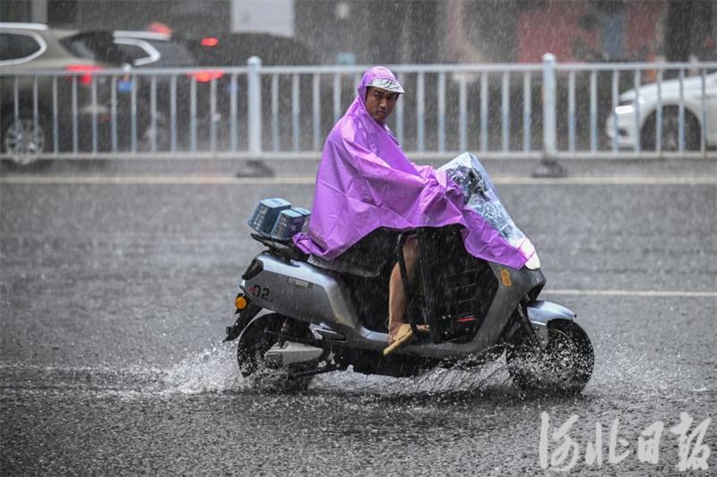 石家庄：应对强降雨在行动