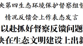 徐麟在中央第四生态环境保护督察组督察贵州省情况反馈会上作表态发言