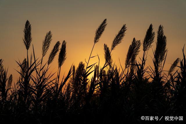 人老了，做个“自讨苦吃”的人，会更有福气