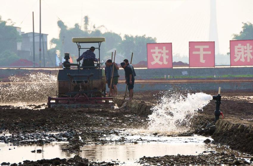 “改田”“扩地”、置农机、规模经营——四川春耕备耕变化一线观察