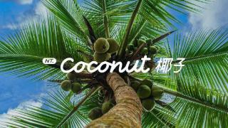 蔚来发布“nt.coconut椰子”智能系统，包含智能应用