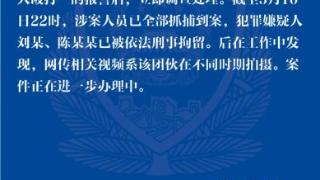 河南新县通报“女孩被殴打”：涉案人员全部抓捕到案