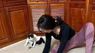 女人在客厅练瑜伽，猫模仿得相当到位：不送去清华深造太可惜了