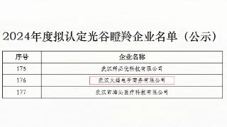 名单正式公布！火蝠电商荣获“光谷瞪羚”企业称号