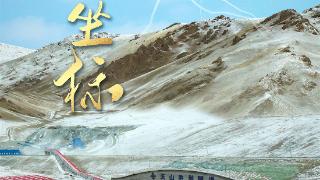 【打卡中国新坐标】40年三跨天山，“基建狂魔”这样炼成！