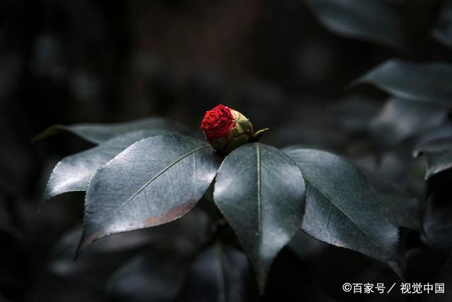 到了晚年，才看清：想要儿女孝顺，作为父母不能做这两件事