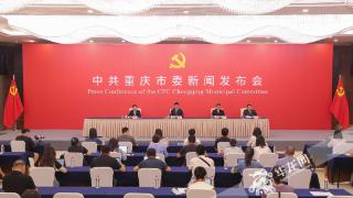 权威解读：中共重庆市委六届三次全会提出“建设新时代市域党建新高地”