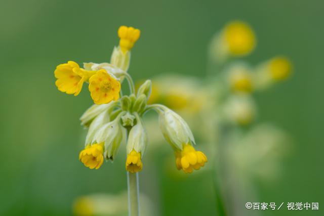 人在迷茫时，“静”下心来，你就赢了