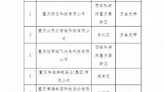 2024年市级服务型制造企业、平台、项目名单公布，巴南企业成功入选！