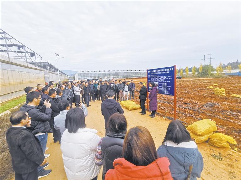 让高原特色种植业跃上理想新高地